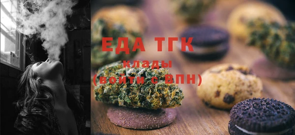 стаф Ельня