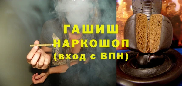 СК Елизово