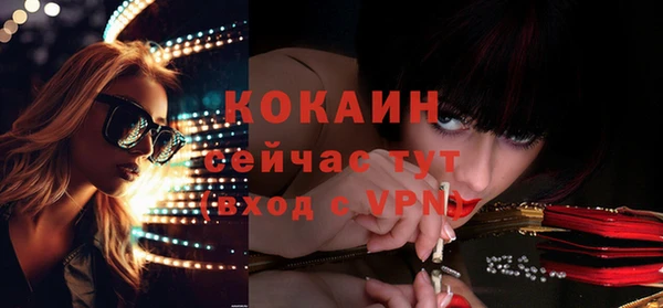 СК Елизово