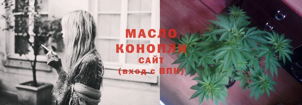 СК Елизово