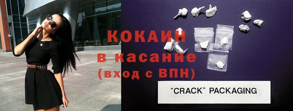 стаф Ельня