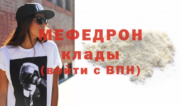 стаф Ельня
