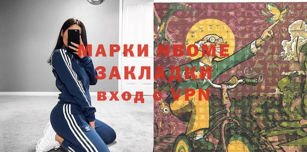 стаф Ельня