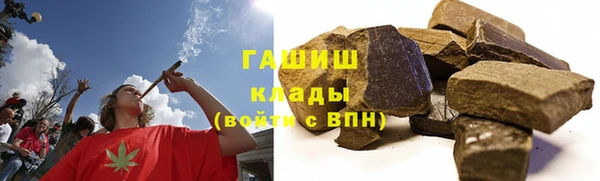СК Елизово