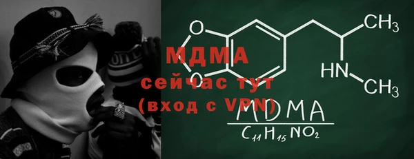 СК Елизово