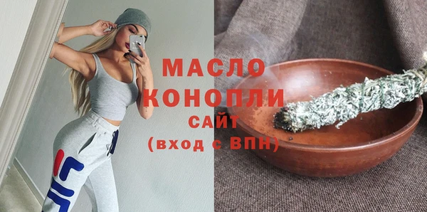 стаф Ельня