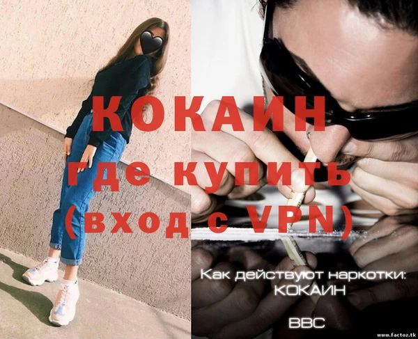 стаф Ельня
