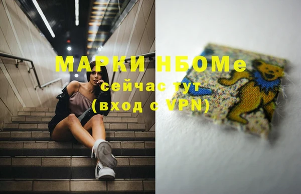 стаф Ельня