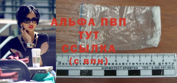 СК Елизово