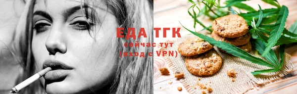 стаф Ельня