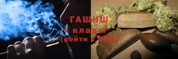 стаф Ельня