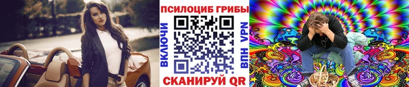 Купить где Краснокамск Галлюциногенные грибы Psilocybe